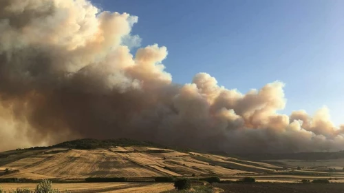 Incendio del Bosco Difesa Grande di Gravina: foto, video e informazioni ufficiali